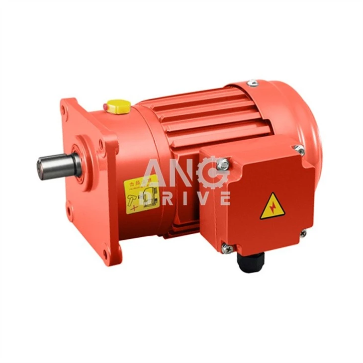 reducer motor