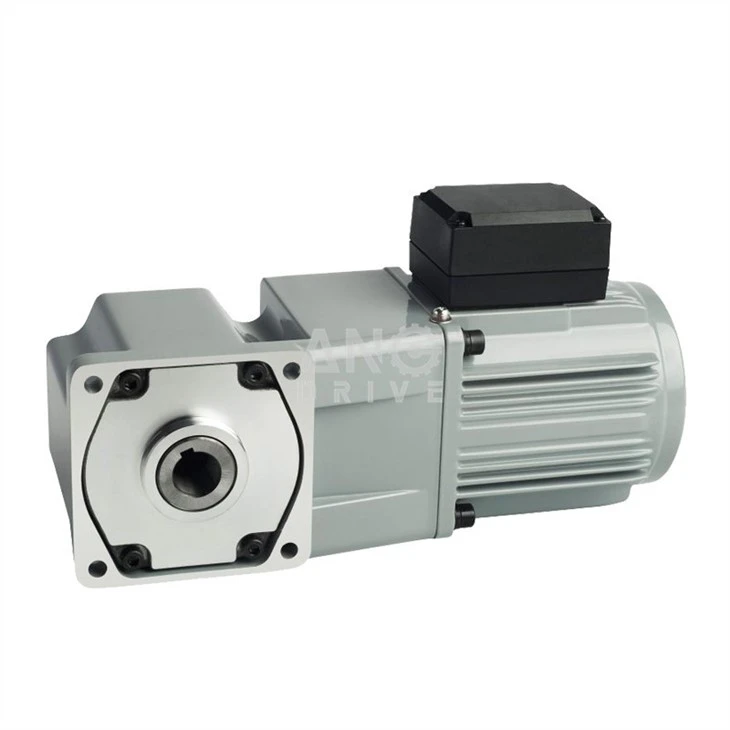 single phase Gear Motor