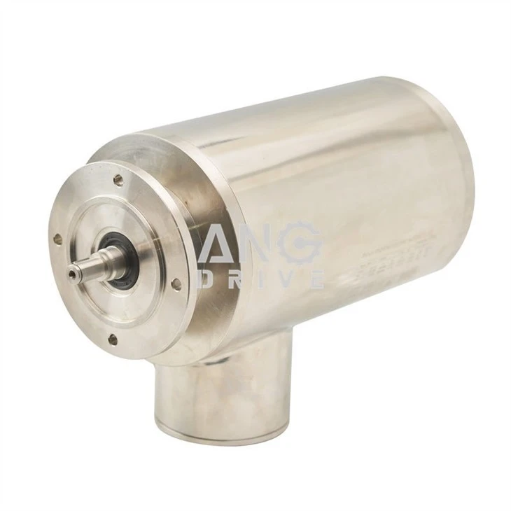 stainless steel electric motors