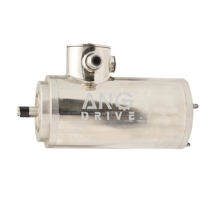 IEC Food Safe Motor