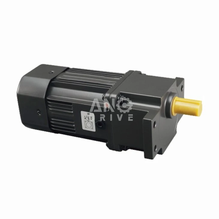 Micro AC Gear Motor