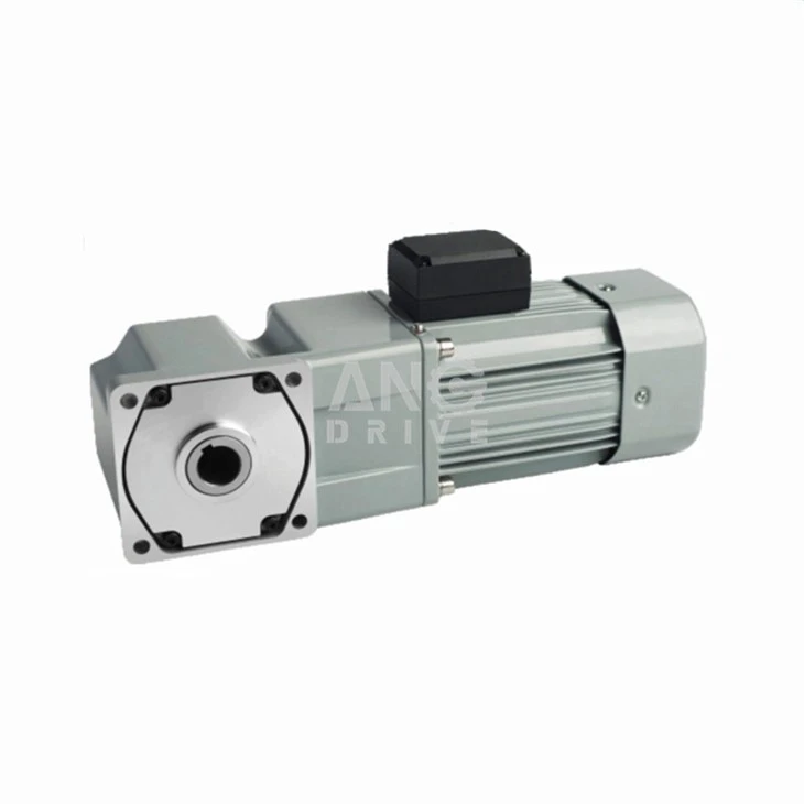 Micro AC Gear Motor