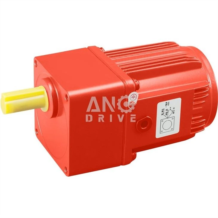 Motor