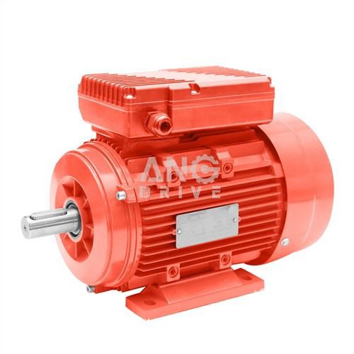 IEC Električni motor