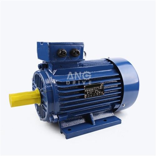 Indukcijski motor