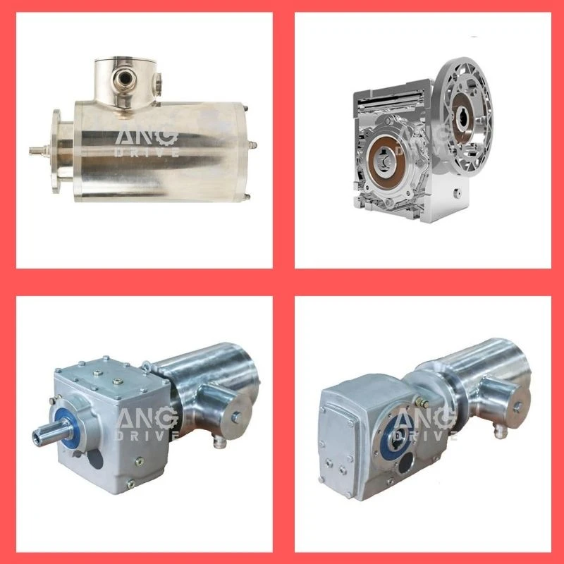 product-800-800 product-800-800